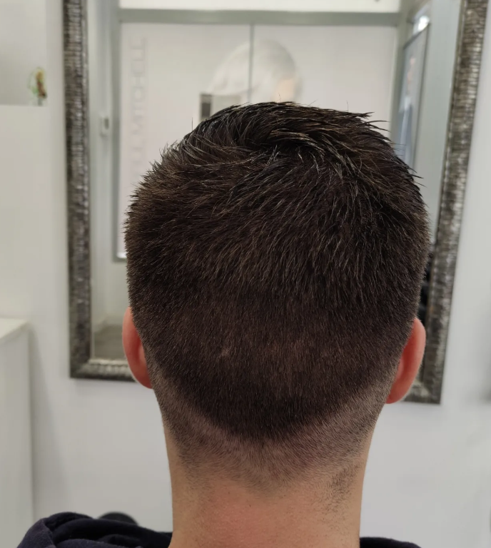 corte caballero